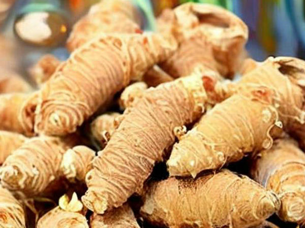 西洋參的藥理作用和食用禁忌？