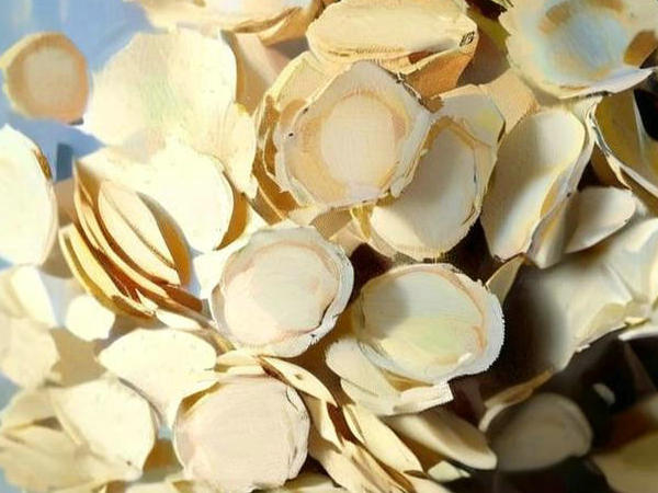 哪類人群并不合適食用西洋參？