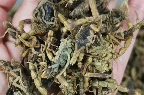 如何判断河南膏药原材料供应商的信誉度？