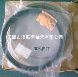 軸承附屬件-【澳聯(lián)博】骨架油封CR18734 進(jìn)口SKF油封型號(hào)查詢(xún)-軸承附屬件.