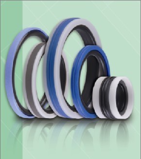 進口油封 進口密封 密封件--大連仟豐貿易